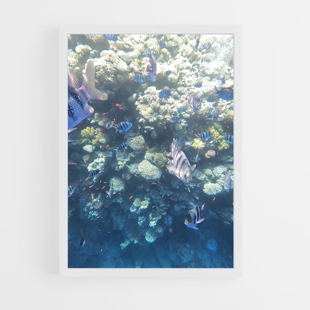 Poster Blue hole – affiche Plongée en apnée (vue 3)